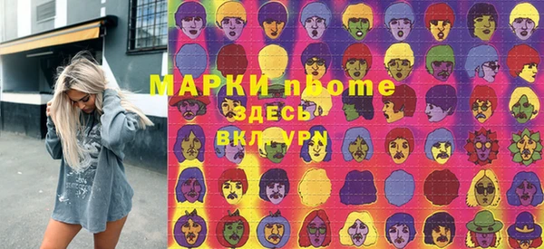 МДПВ Инсар