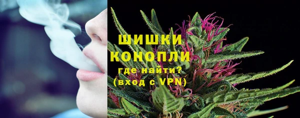 гидра Ельня